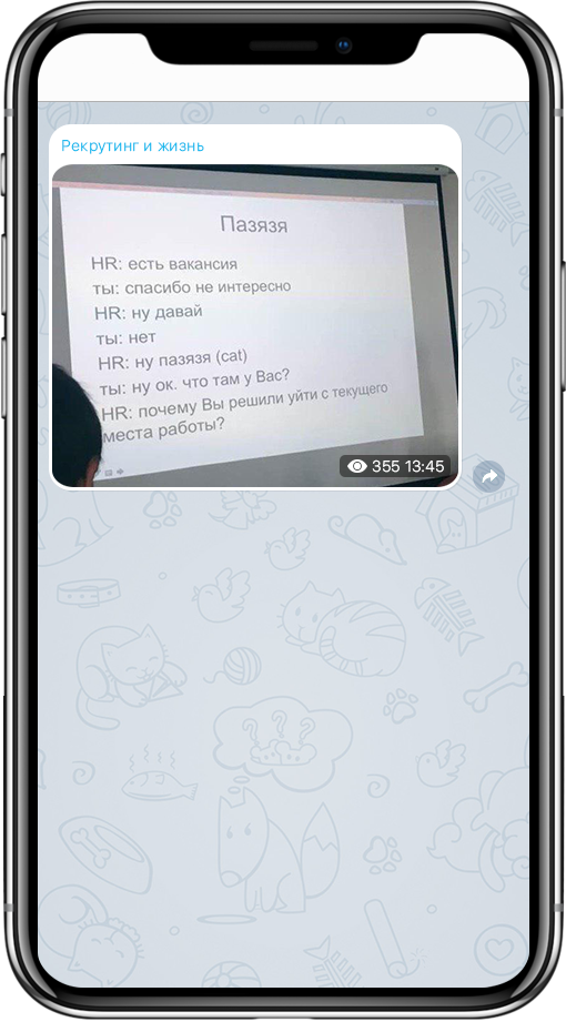 telegram, телеграм, hr, каналы для эйчаров