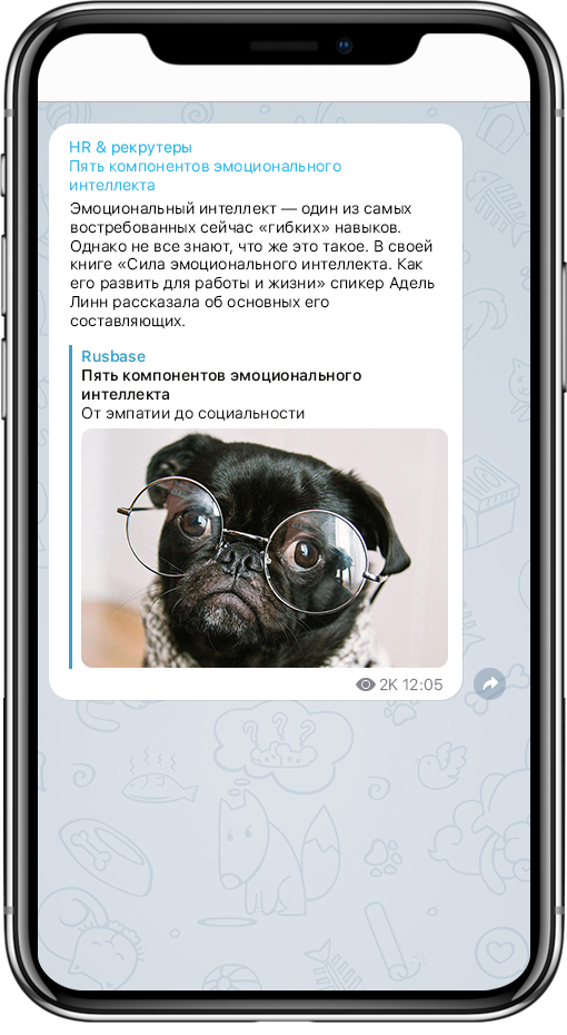 telegram, телеграм, hr, каналы для эйчаров