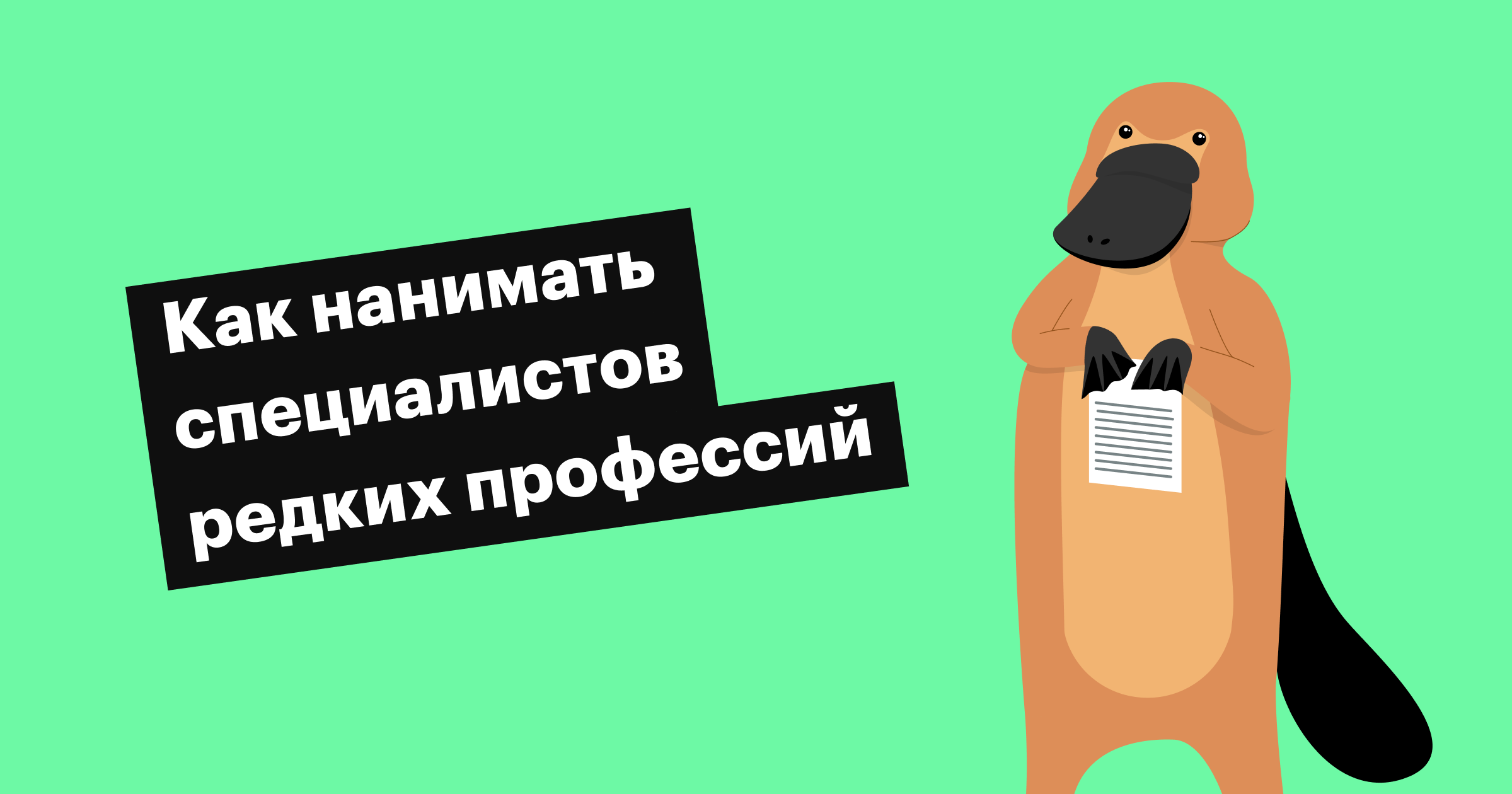 хантфлоу, huntflow, рекрутинг, подбор, наем, редкие специалисты